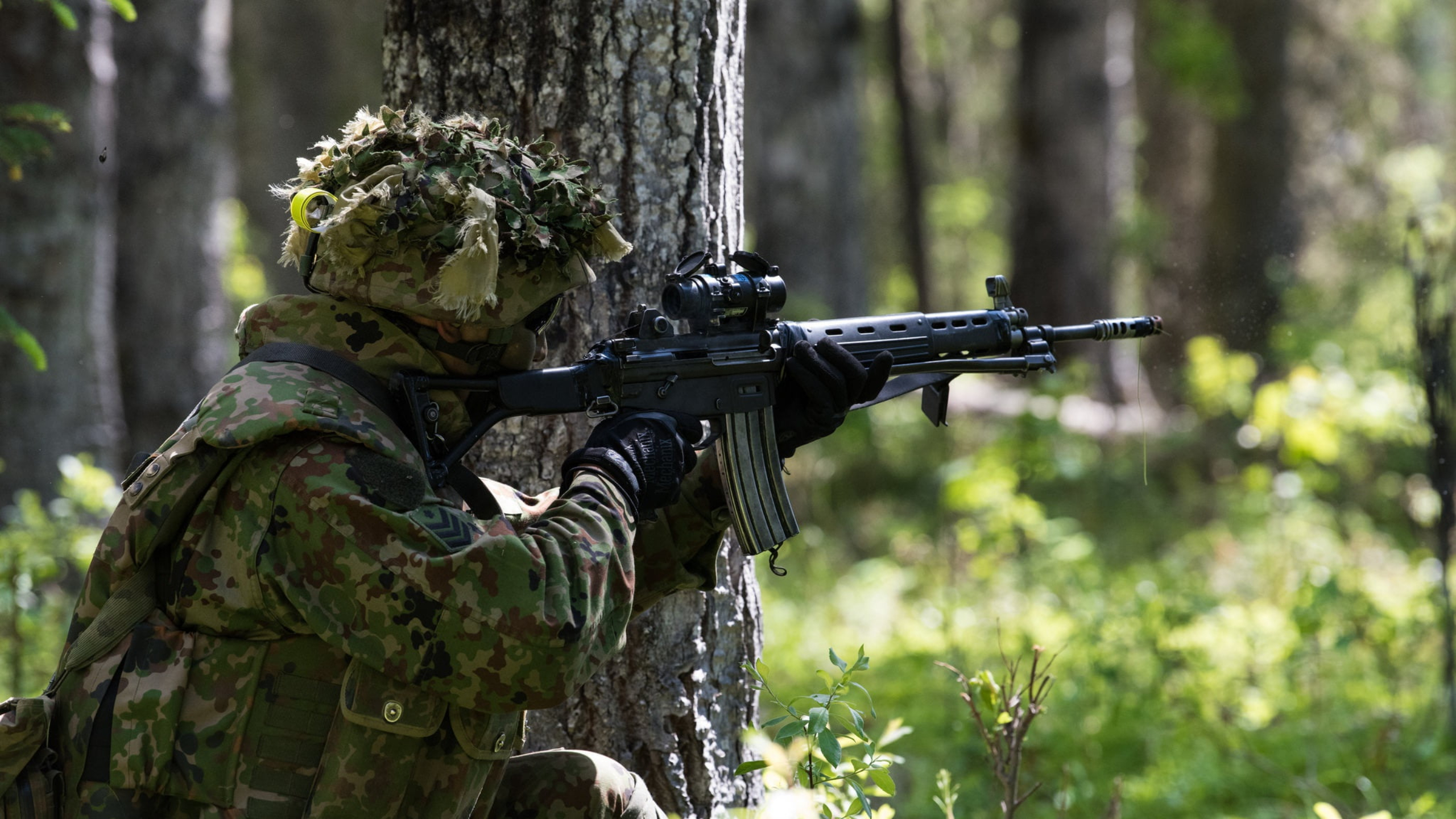 Defense Division — System SFS